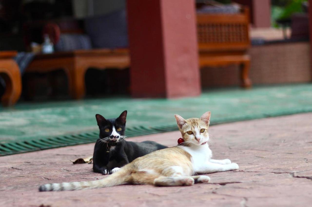 Joy'S House & Tour Bed & Breakfast Chiang Mai Exterior photo